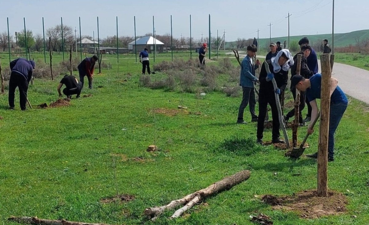 Түркістан: "Таза Қазақстан" экологиялық акциясында ордабасылықтар белсенді атсалысуда